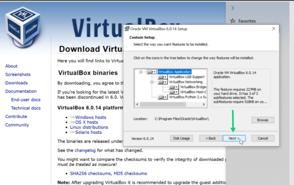 Oracle VM VirtualBox Custom Setup wizard window showing feature selection and Next button